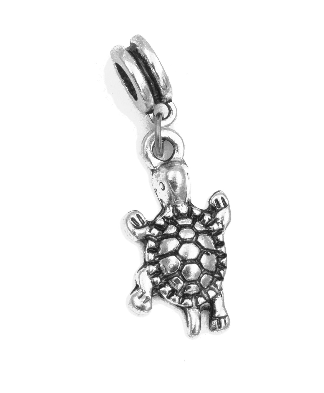 Charm - Tortue